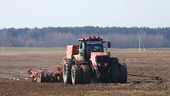 Ранние яровые зерновые в Беларуси посеяли почти на 94% площадей