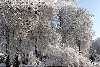 В Новогрудке на этой неделе до -9°С, небольшой снег