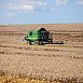 В Гродненской области завершается уборка зерновых и зернобобовых культур