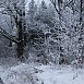 В Новогрудке в выходные до  -4°, снег