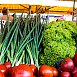 Производство овощей в Беларуси позволяет полностью обеспечить рынок отечественной продукцией - МАРТ