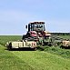 В Беларуси травы убраны с 977,7 тыс. га
