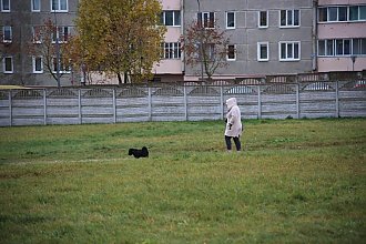 Проблема выгула собак в Новогрудке: где искать решение?