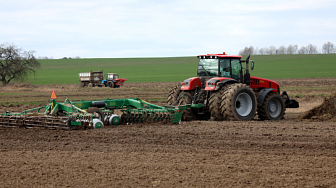 Ранние яровые зерновые и зернобобовые в Беларуси посеяны на 22 тыс. га площадей