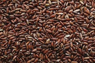 Специалист по питанию настоятельно рекомендует включить в рацион коричневый рис – объясняем почему